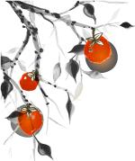 首届中国职工围棋锦标赛收官,安徽省第四届职工运动会棋类