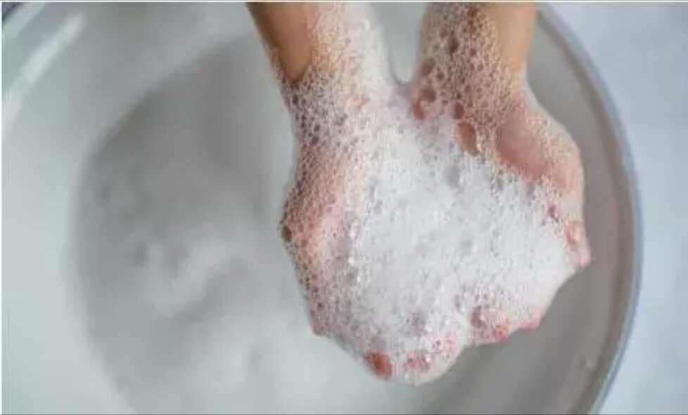 洋辣子最怕的克星,洋辣子辣到眼怎么办