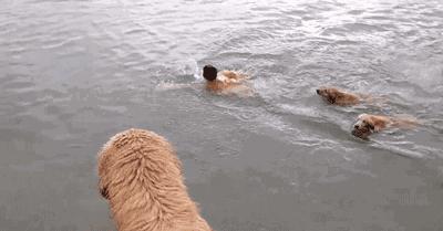 这个夏天，剧透网友和女朋友……