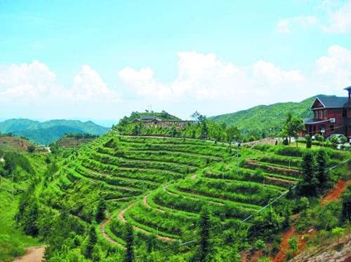 中国茶都，藤铁工艺之乡，—安溪