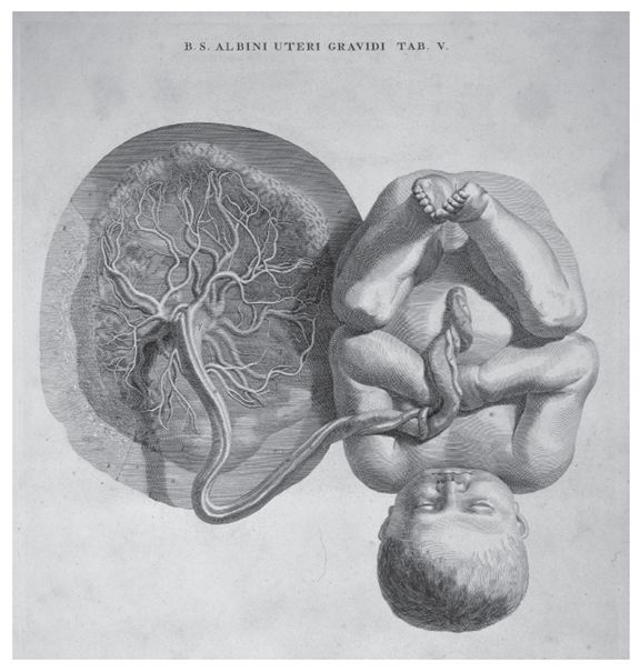 你是怎么来到这个世界的，不信你不好奇……｜认识身体