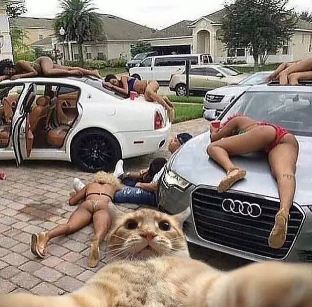 旅游团集体照拍照姿势,旅游攻略自己拍