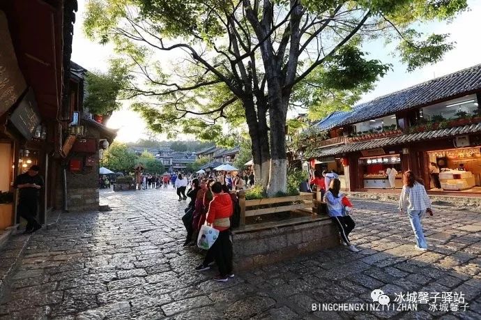 为什么要去大理才算爱得认真,为什么要去丽江古城旅游