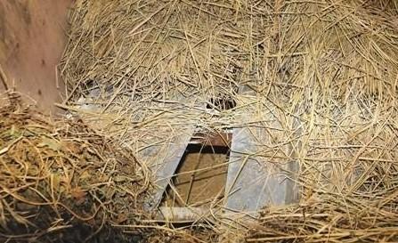 中国大案纪实-那些让人瞠目结舌的*奴性**案