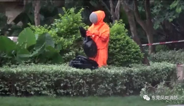 民宅惊现巨型马蜂窝消防安全处置,巨大马蜂窝惊现阳台消防摘除