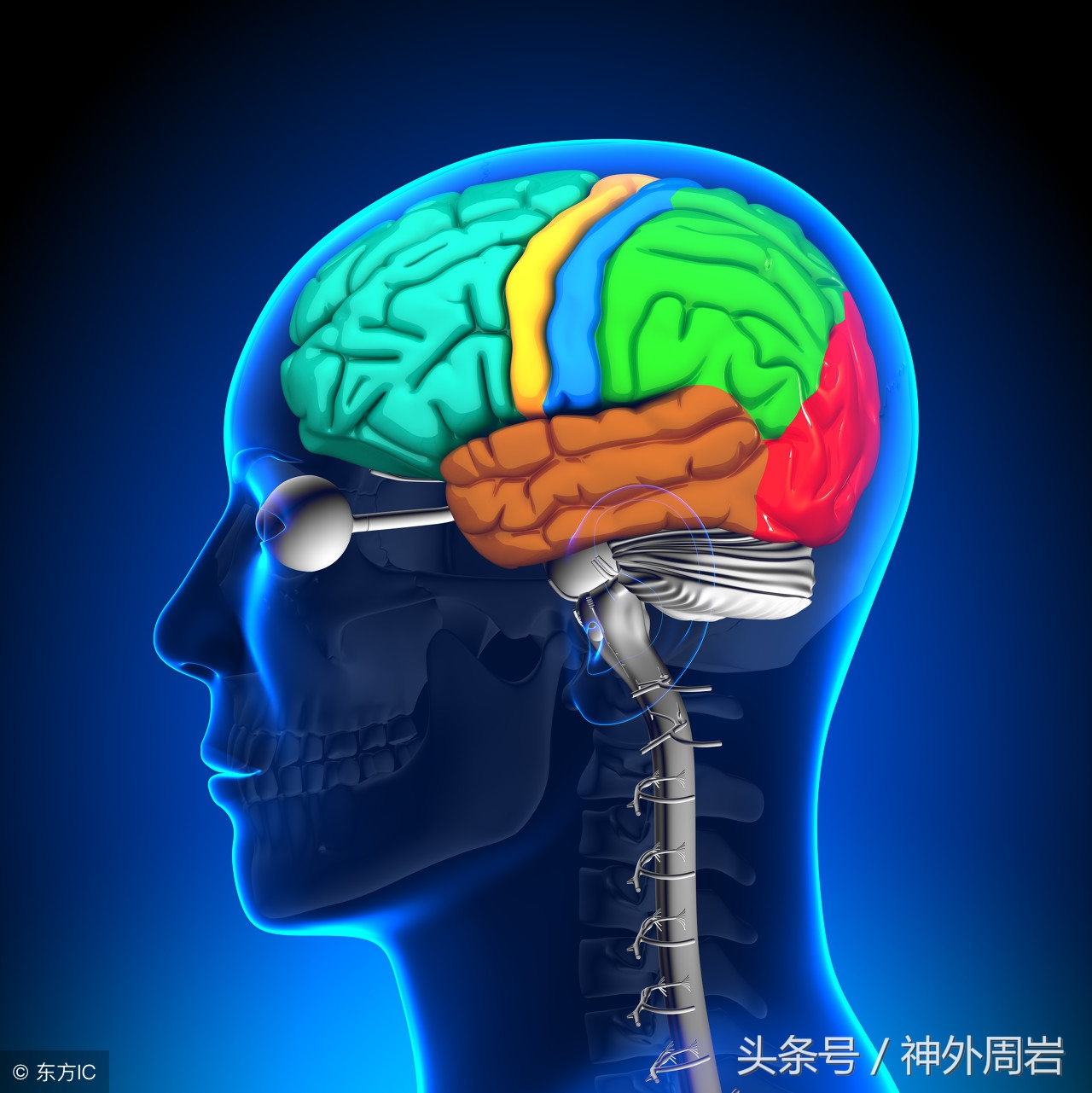 细胞免疫治疗有用吗,脑瘤可以用免疫治疗吗