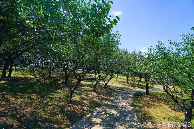 无锡禅意旅游攻略,必去禅意之旅