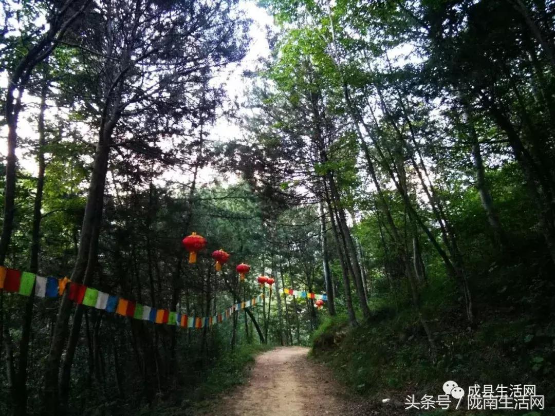 陇南市成县小川镇庙会,今年甘肃陇南成县泰山庙庙会