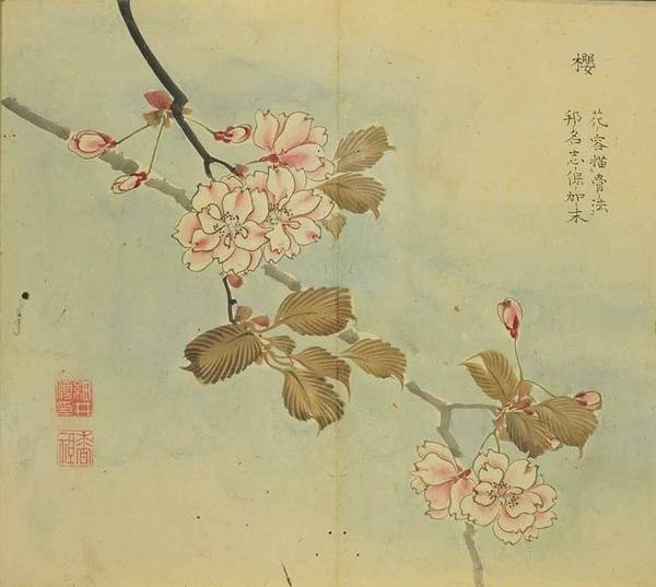 诗经蒹葭的传说,三千年传说中的蒹葭