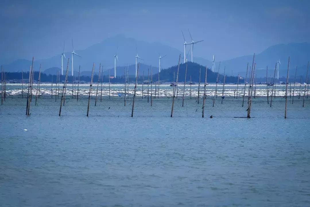 机票300+，海鲜100吃到撑，东山岛的神秘沙洲，每隔12小时会消失