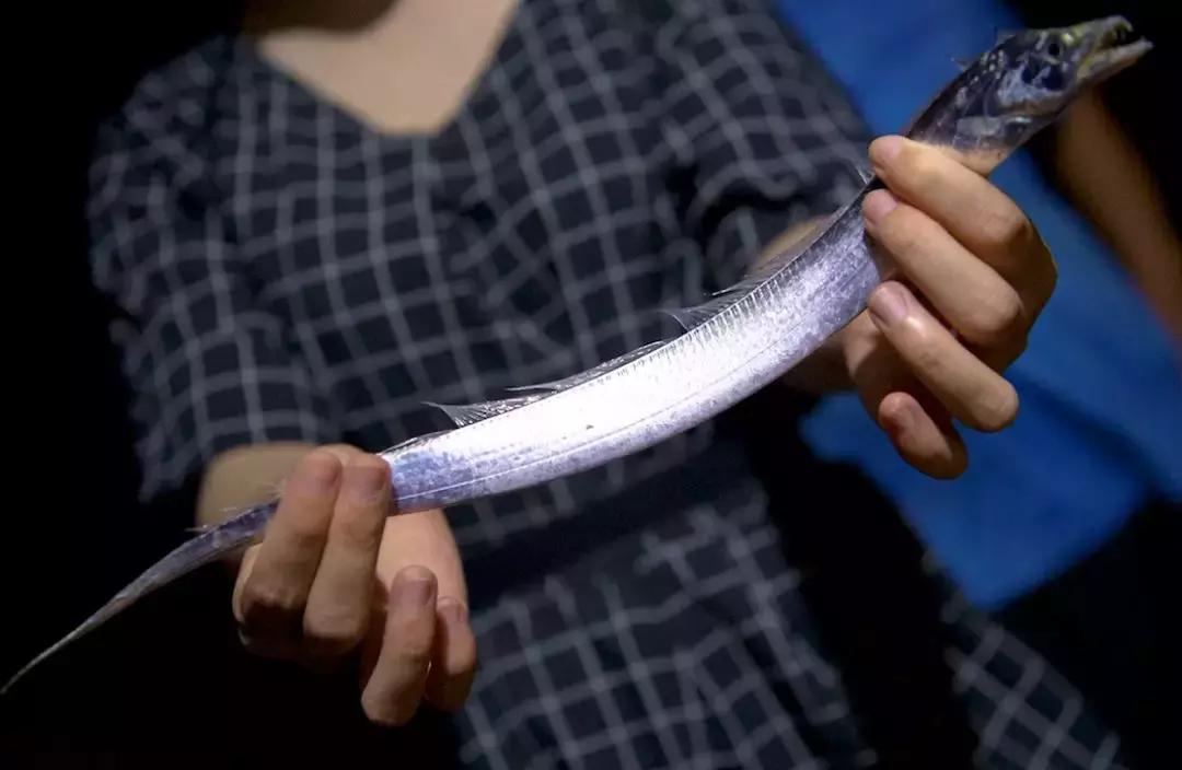 机票300+，海鲜100吃到撑，东山岛的神秘沙洲，每隔12小时会消失