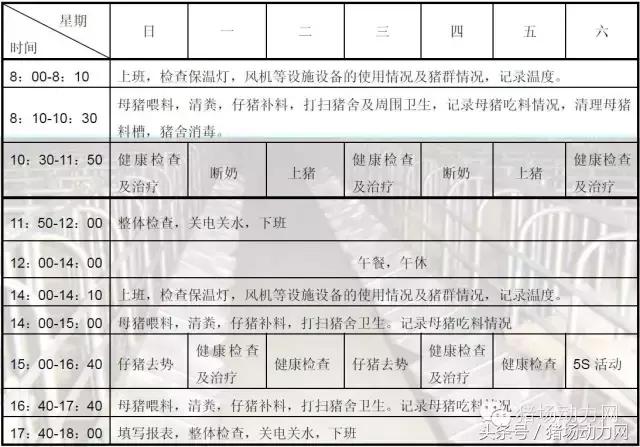猪场分娩舍有哪些重点,猪场正常分娩接产的操作流程