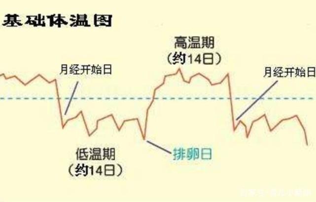 女人“排卵”时，身体有感觉吗？或许你该抓住这3个“信号”！