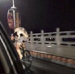 对付不牵绳的狗最好的办法,对付一条狗还用得着拔剑吗