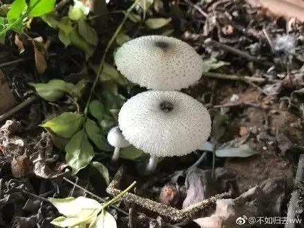 全长毛了！今年青岛这么潮竟是因为……除湿办法全在这，亲测有效