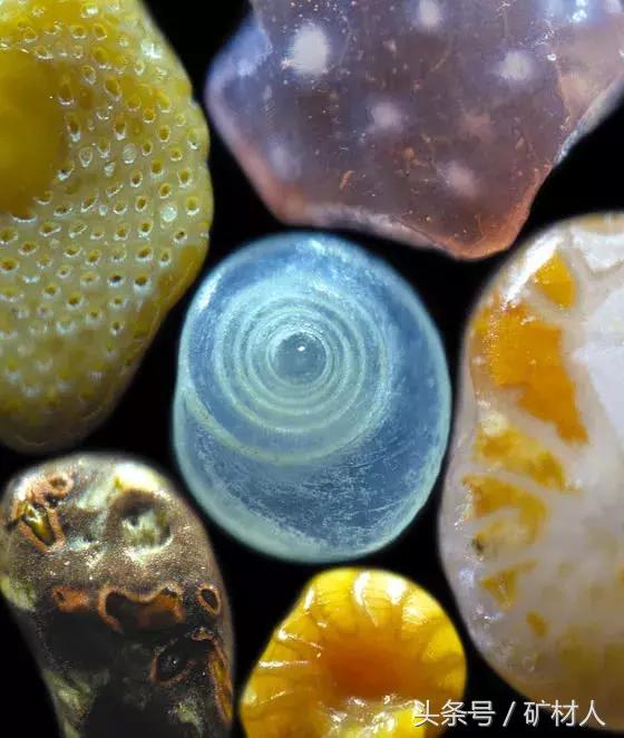 地质学家图片,我国著名地质学家图片及简介