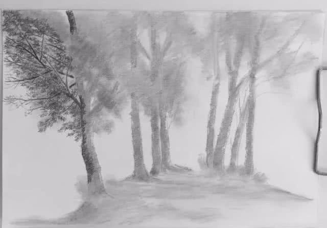 春天的美景素描,手把手教画风景