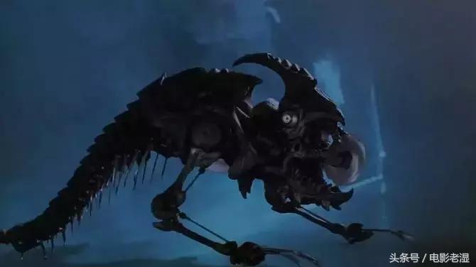 人类机器人大战视频,水能载舟亦能覆舟打一动物