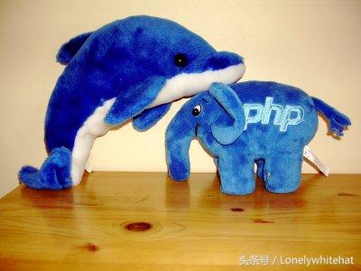 php简介,php全称