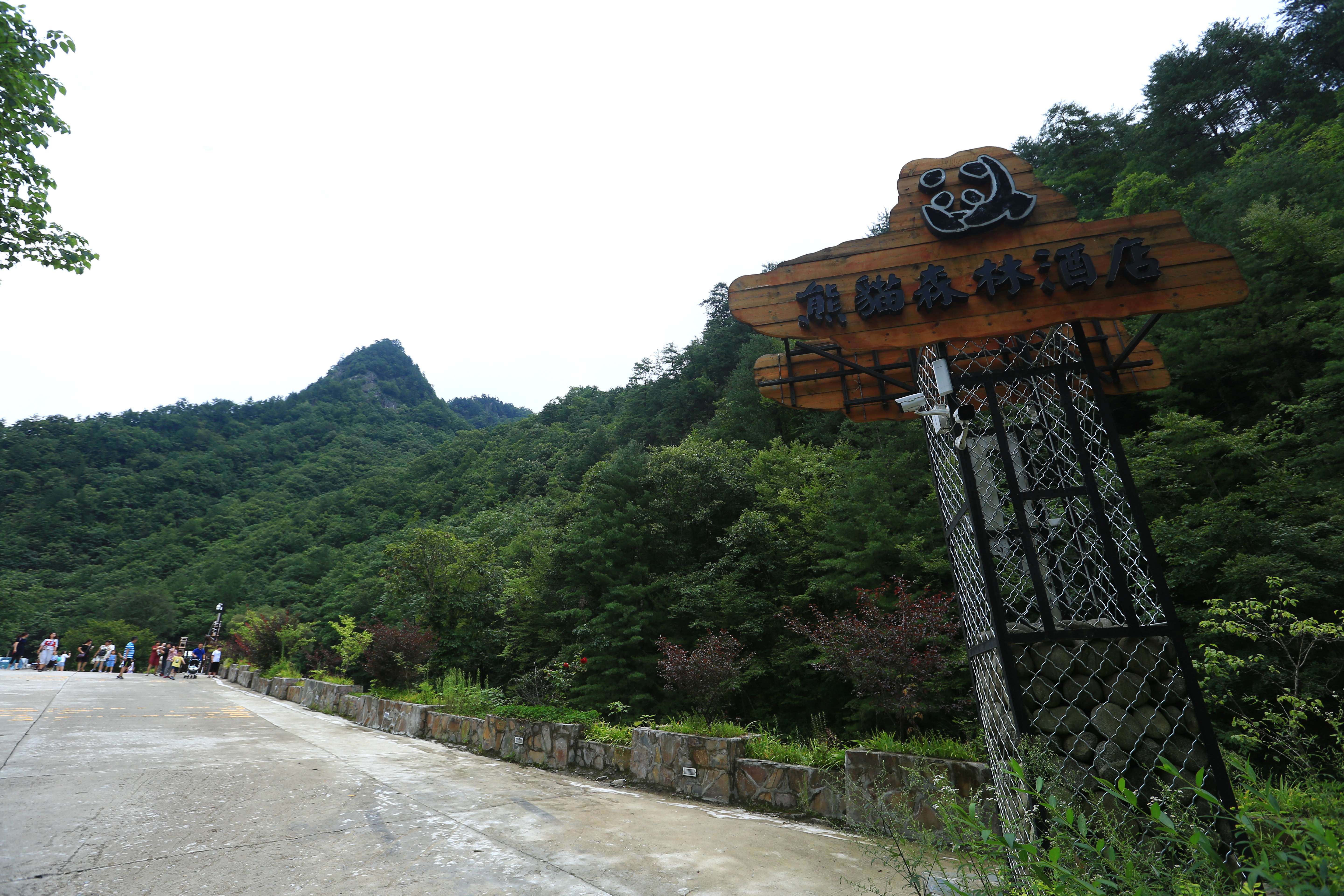 西安熊猫谷旅游,西安熊猫谷一日游详细攻略