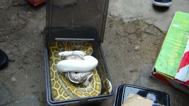 医保专家进社区服务,专家到身边老百姓看病真方便