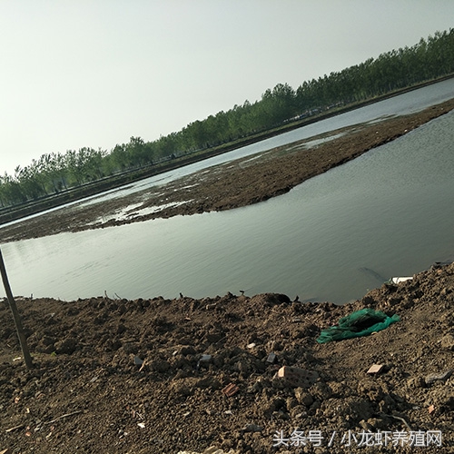 养殖一亩小龙虾的成本多少钱,小龙虾养殖一年可以赚多少钱