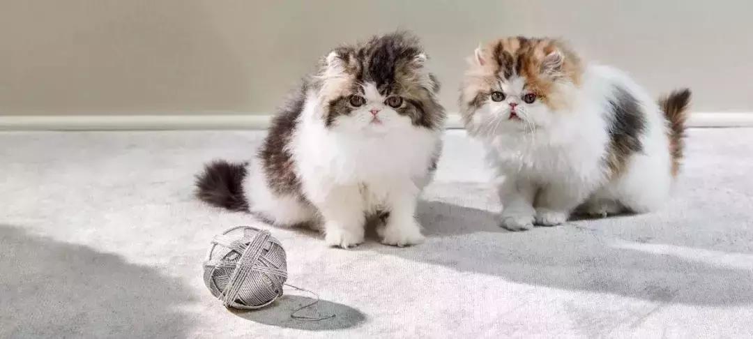 tiffany泡泡款,tiffany是不是涨价了