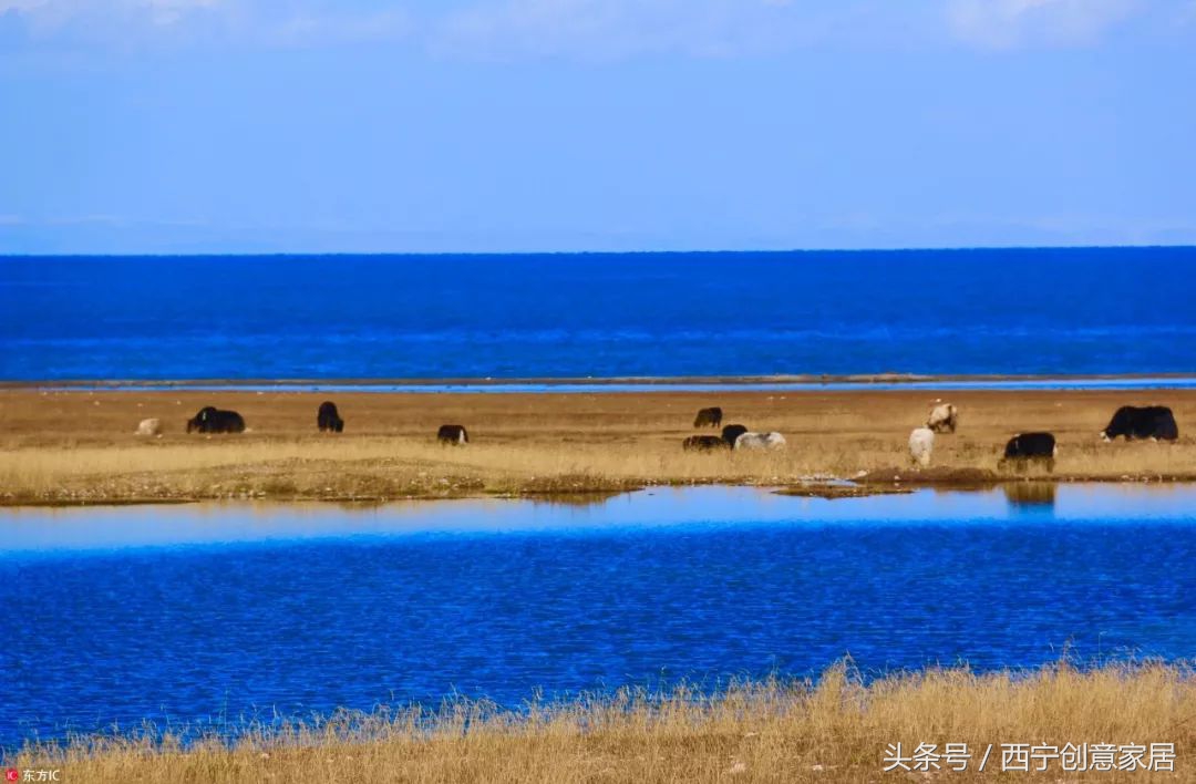 青海为什么频繁发生地震,青海人为什么长得好看