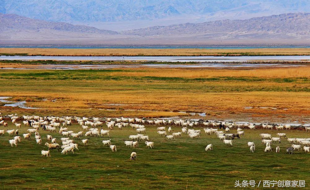青海为什么频繁发生地震,青海人为什么长得好看