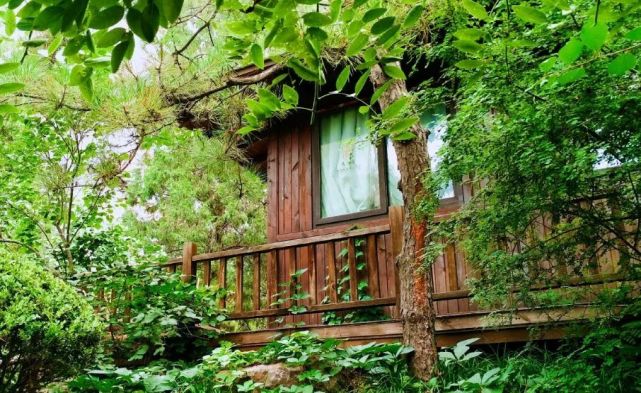 北京哪些公园对18岁以下免费,北京60岁以上老人免费公园明细