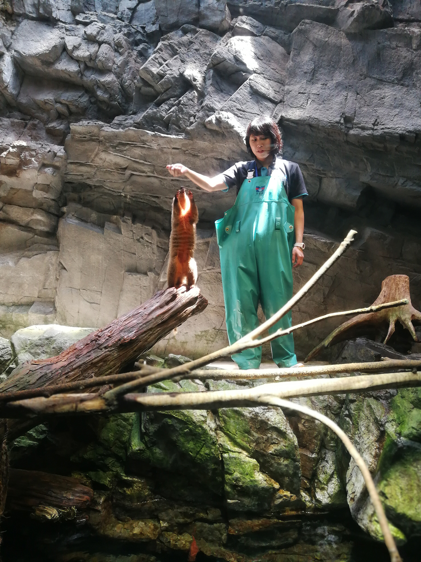 日本乐高亲子游,日本乐高亲子游玩中心在哪