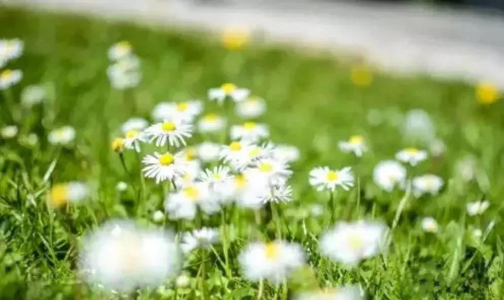 小孩需要办签证吗,出国护照签证办理流程最新