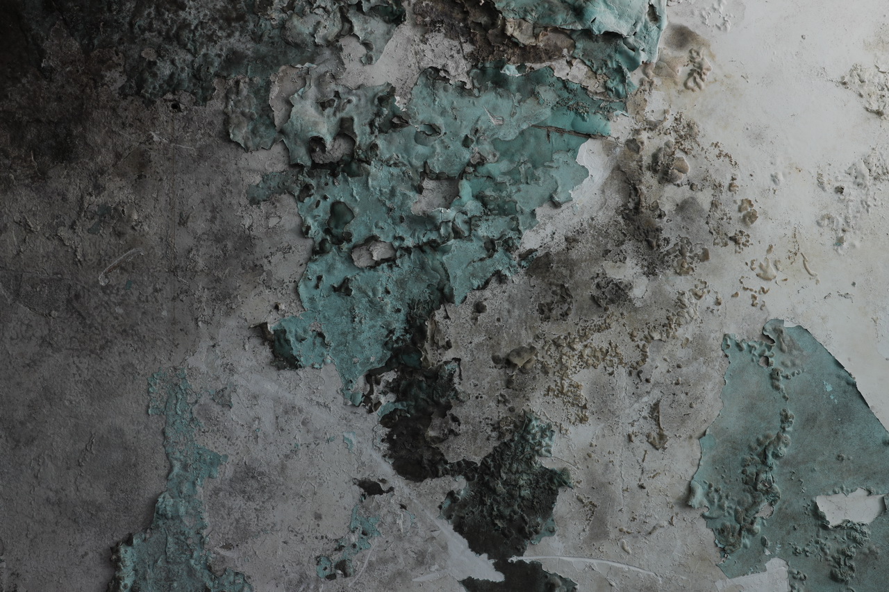 大武汉之武汉国棉一厂,大武汉系列之武汉冶炼厂