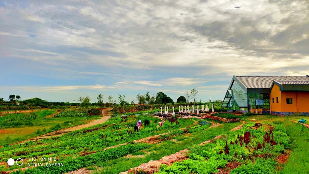 青白江城市发展方向,青白江未来5年发展