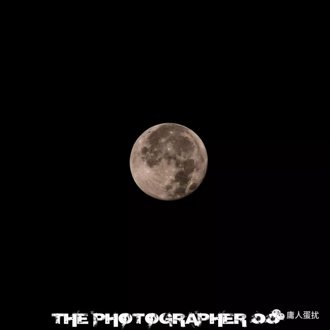 弓箭女皇的日常,弓箭女皇传说皮肤有几个