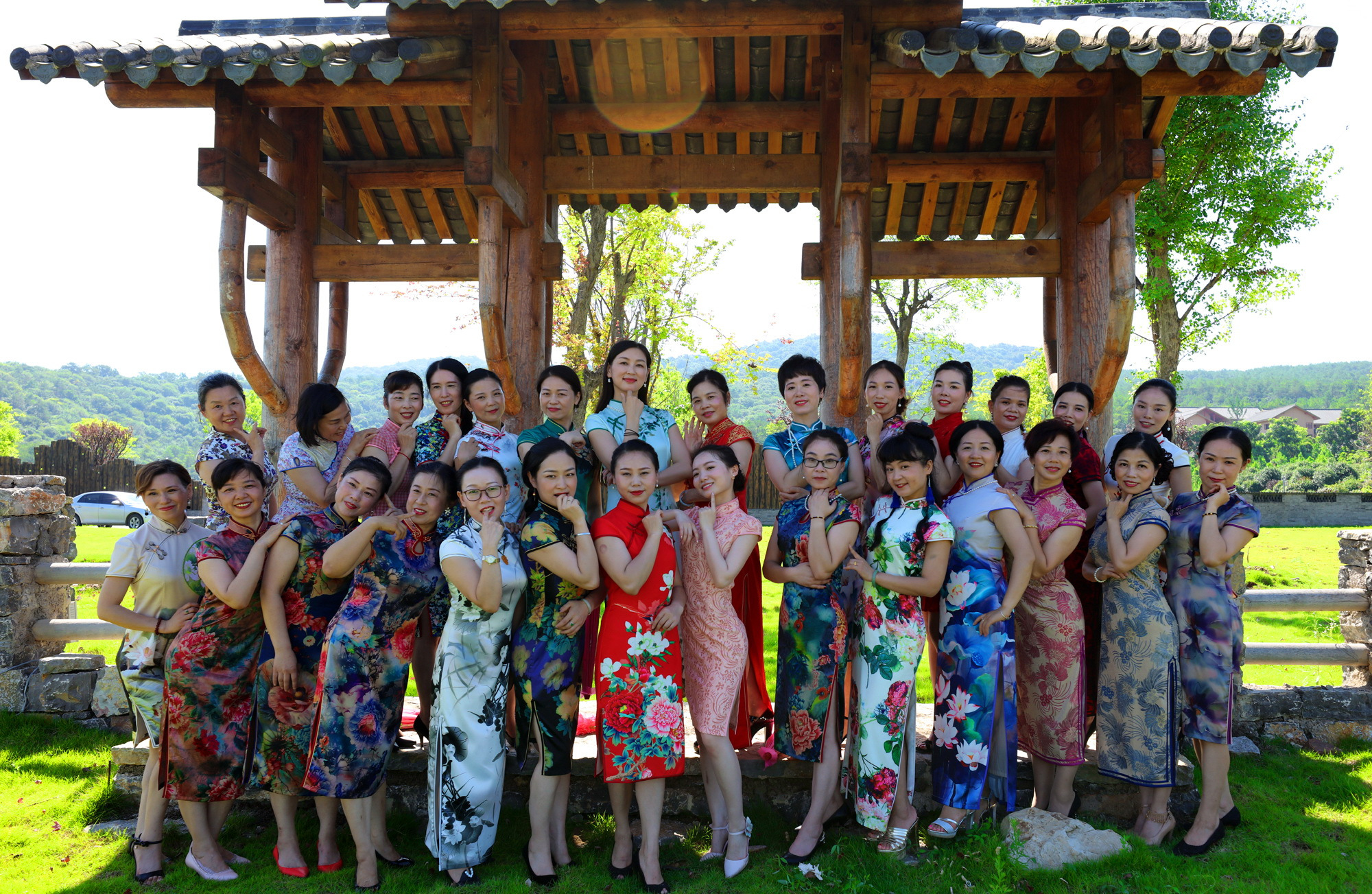 这个夏天的荷花太美了,这个夏天的荷花