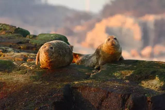 张程皓图片,张程皓照片