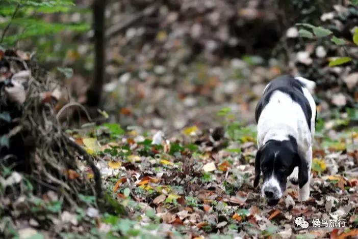 米兰周边有什么好去处,米兰必去的小镇