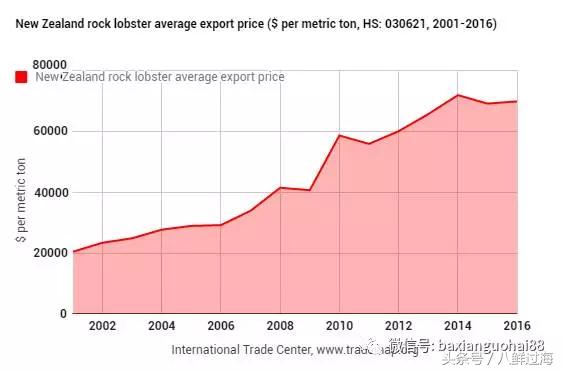 新西兰红色岩龙虾,新西兰岩龙虾介绍