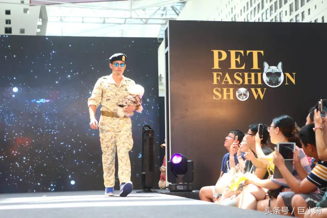 2024中国最大的宠物展,国际宠物展亚洲宠物展