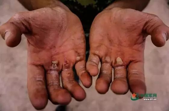 向所有中国军人军属致敬,致敬军人致敬军属