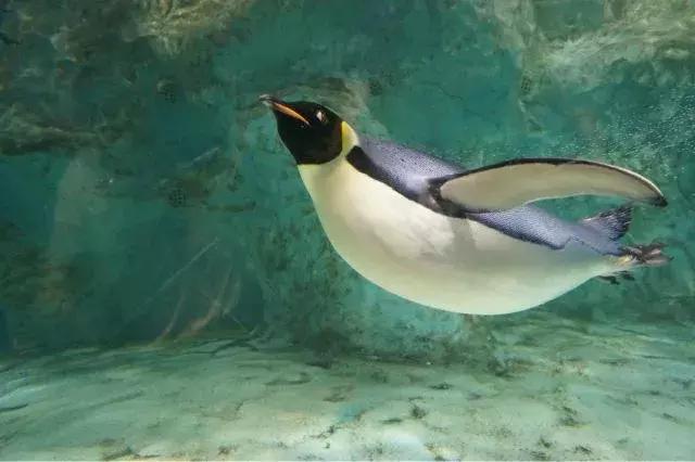 暑期陪娃游长隆海洋王国,这个暑假去珠海海洋王国多人吗