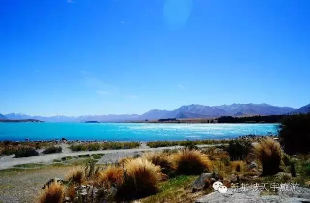 新西兰纯净之旅,10天时间旅游攻略