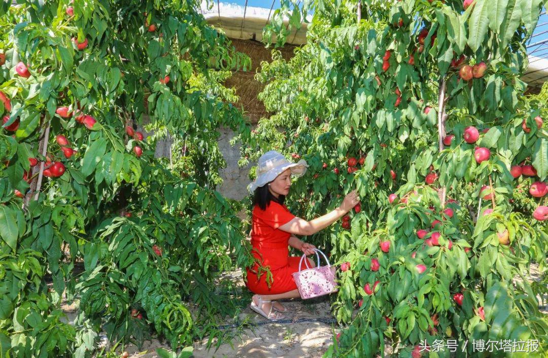 博乐出发3天去哪玩,博乐7天旅游线路