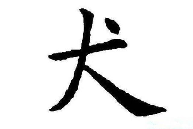 面试官：30秒思考“犬”加一笔后是什么字？女孩：1秒就够了！