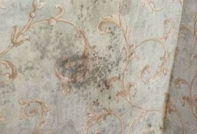 墙面被孩子画的特别乱脏怎么翻新,家里墙面被孩子乱涂乱画怎么清洁