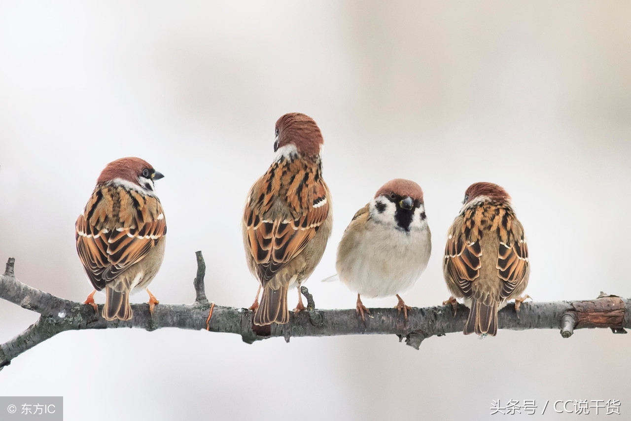 有没有一开始就能适应的工作,没有那么多有前途的工作