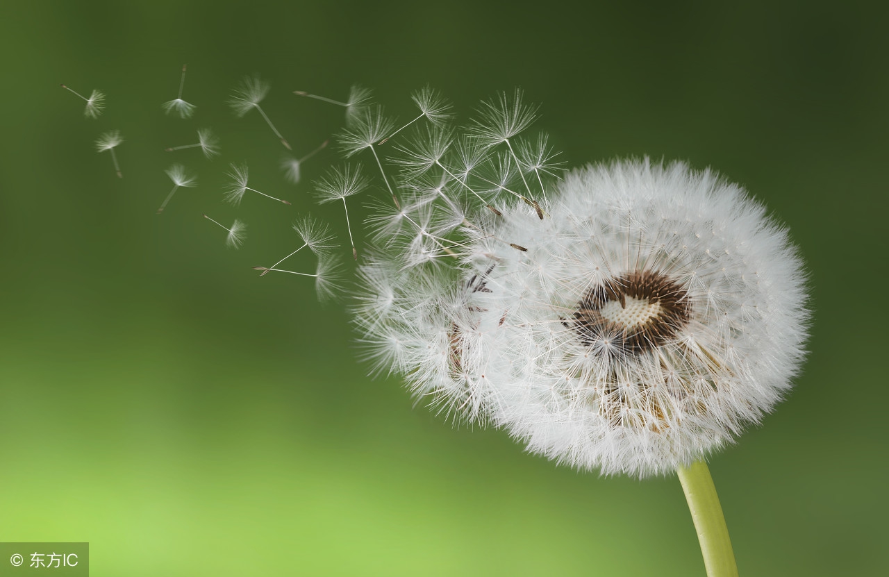 代理专利申请机构可信吗,东莞专利申请代理机构