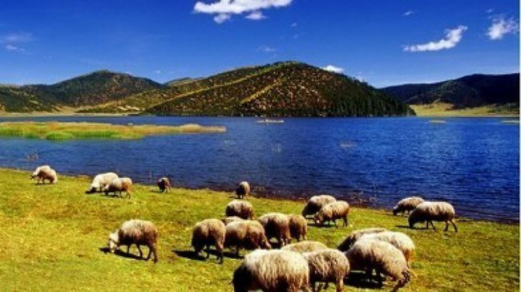 想避暑就来苍山顶,要想避暑就来西塘古镇