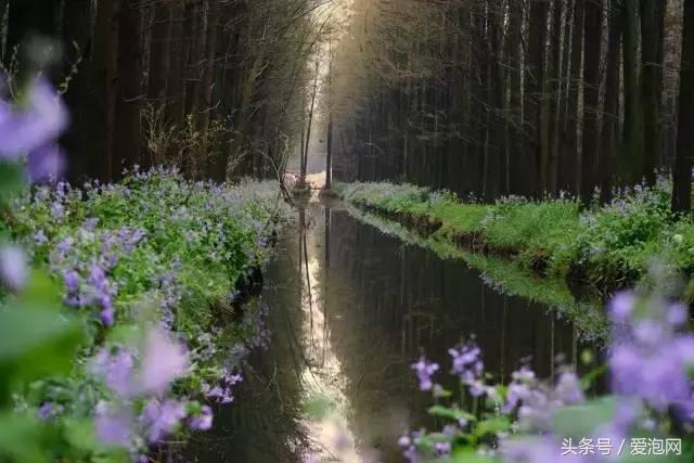 江浙沪深山老林旅游最好去处,清凉避暑好去处森林氧吧